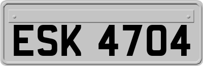 ESK4704