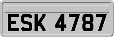 ESK4787
