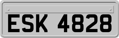 ESK4828
