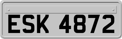 ESK4872