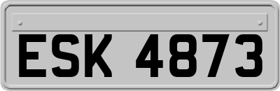 ESK4873