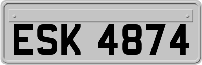 ESK4874