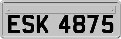 ESK4875