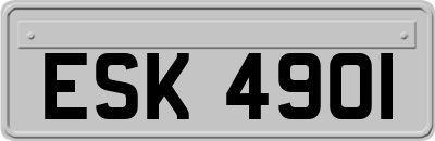 ESK4901