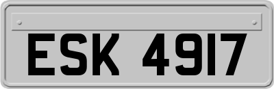 ESK4917
