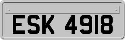 ESK4918