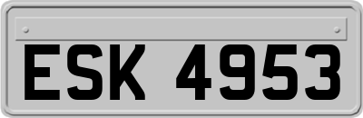 ESK4953