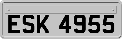 ESK4955