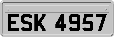 ESK4957