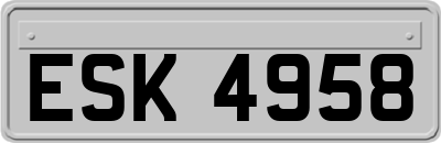 ESK4958