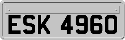ESK4960