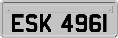 ESK4961