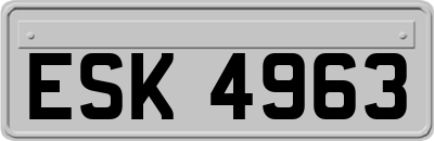 ESK4963