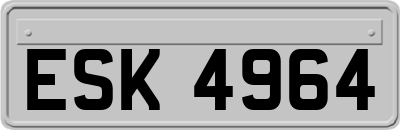 ESK4964