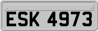 ESK4973