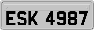 ESK4987