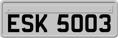 ESK5003