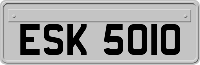 ESK5010