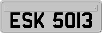 ESK5013