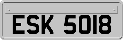 ESK5018