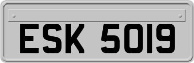 ESK5019