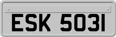 ESK5031