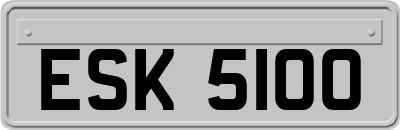 ESK5100