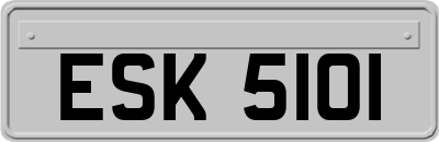 ESK5101