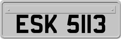 ESK5113