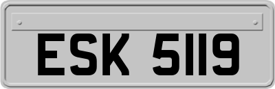ESK5119