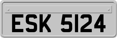 ESK5124