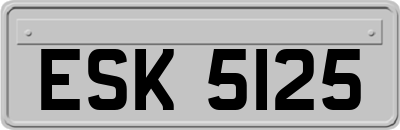ESK5125