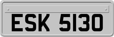 ESK5130