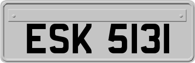 ESK5131