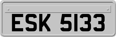 ESK5133
