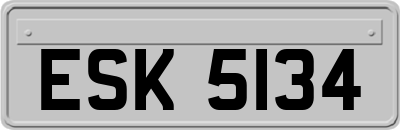 ESK5134