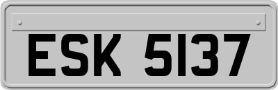 ESK5137