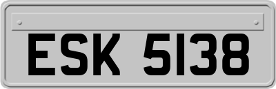 ESK5138