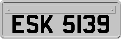 ESK5139