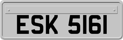 ESK5161