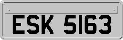 ESK5163