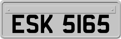 ESK5165