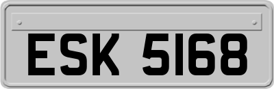 ESK5168