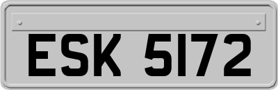 ESK5172