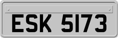ESK5173