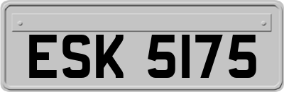 ESK5175