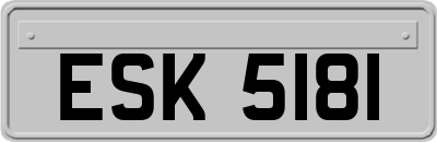 ESK5181