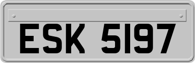 ESK5197