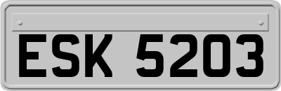 ESK5203