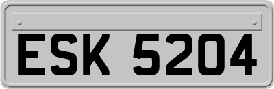 ESK5204